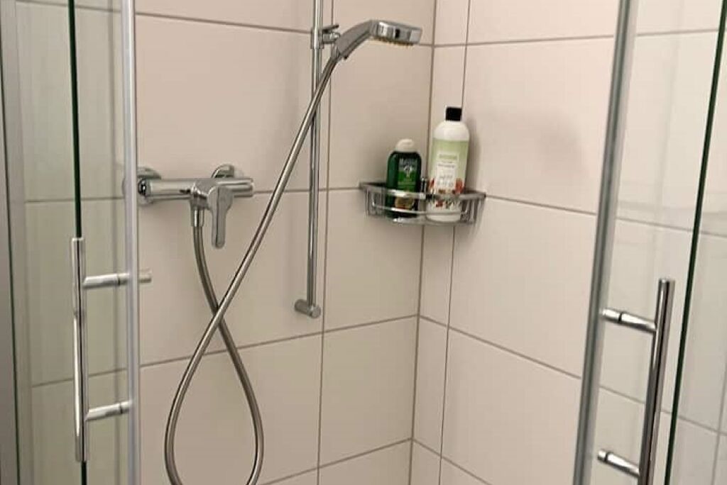 A shower area with a glass door, a chrome showerhead, and a shelf with toiletries.