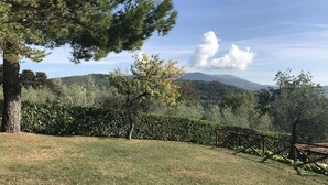 A grassy area with a wooden fence, a tree, and a hedge. - Rustic Holiday Home in Corciano With Swimming Pool (Corciano)