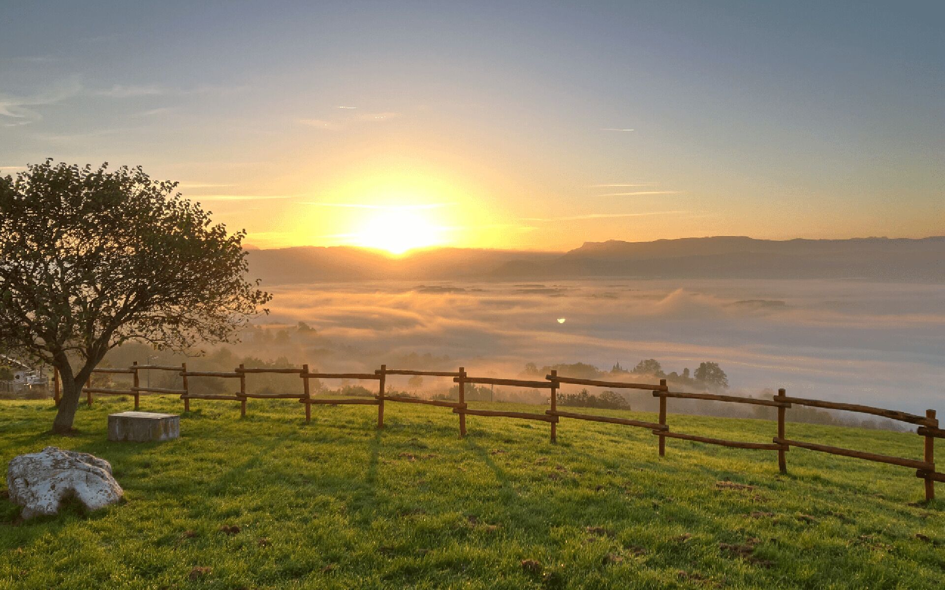 A sunrise over a grassy field with a wooden fence and a tree.