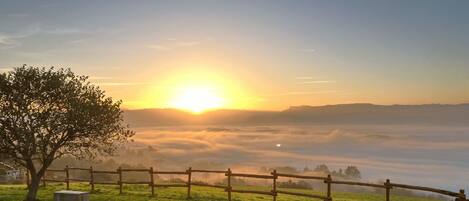 A sunrise over a grassy field with a wooden fence and a tree.