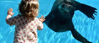 Cosy Bungalow Near the Beach