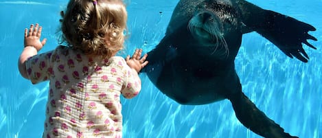 วิวจากที่พัก