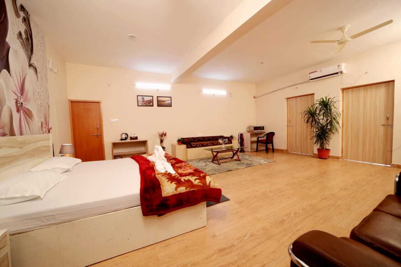 A spacious room with a large bed, a desk, a chair, and a potted plant.