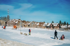 Exterior - Cottages, Turf House (Clausthal-Zellerfeld)