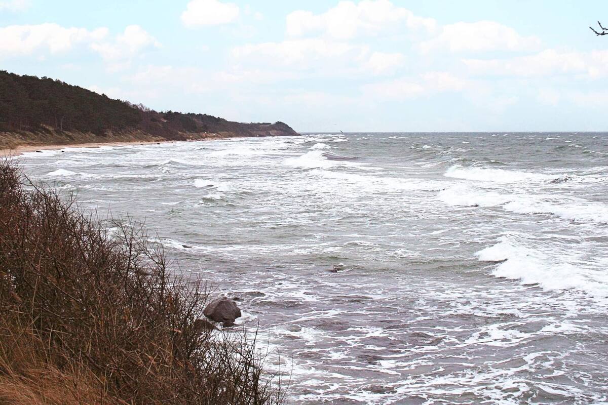 A coastal scene with rough sea waves, a sandy beach, and a forested hillside.