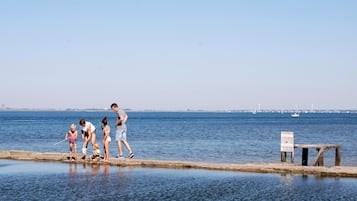 Vista desde la propiedad