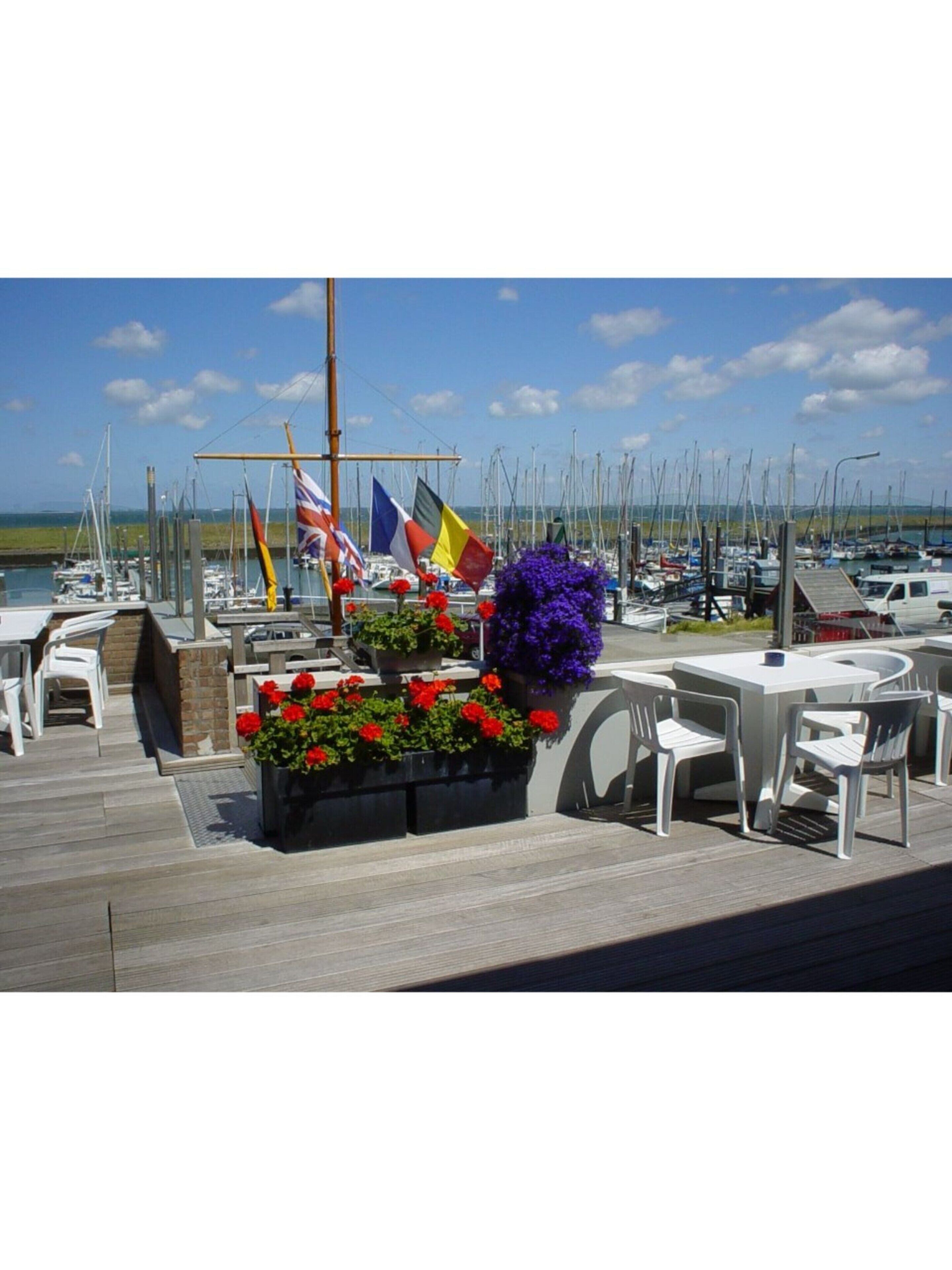 A marina with multiple boats docked, outdoor seating with white chairs, and a variety of flags.