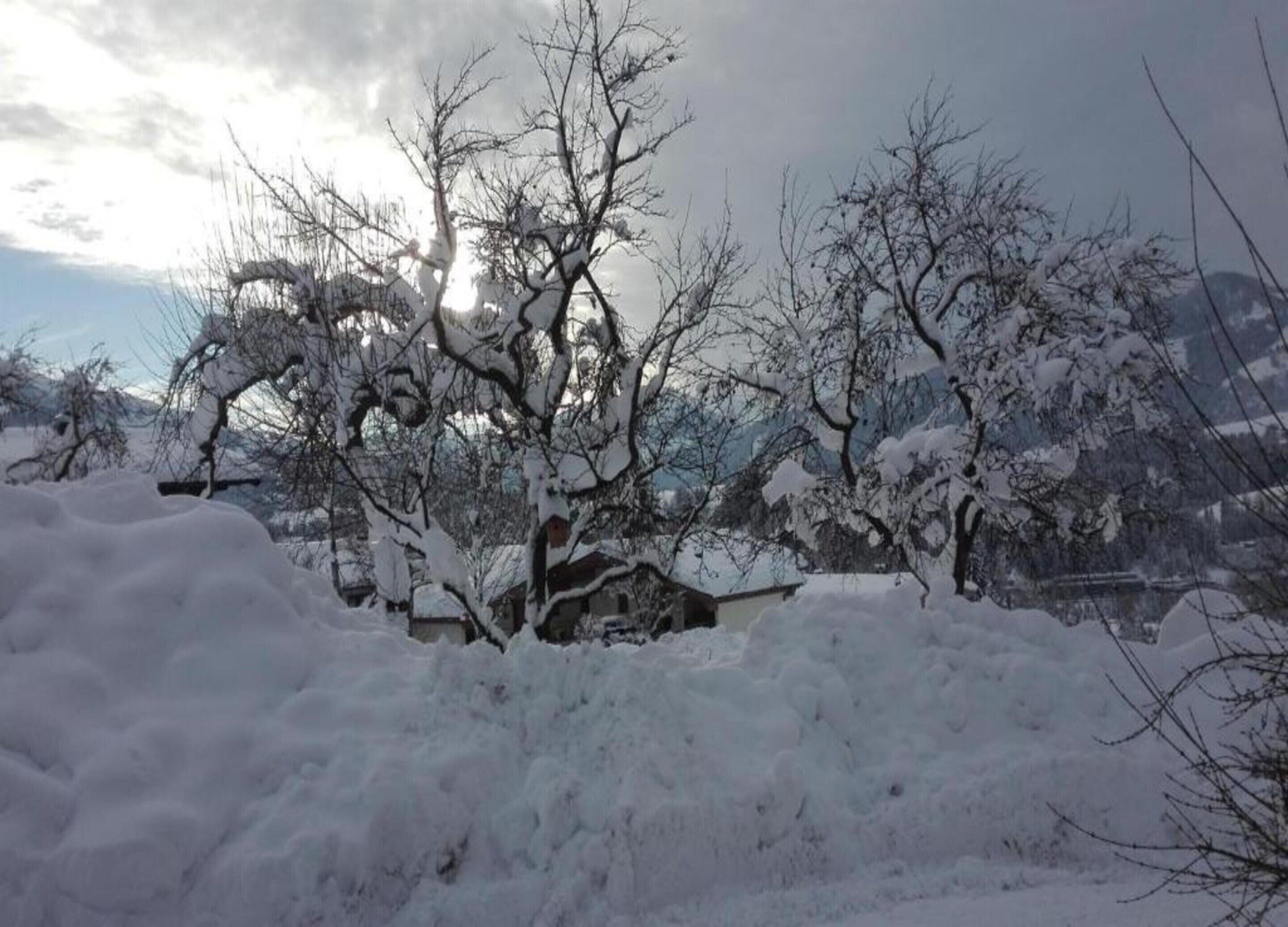 A snowy landscape with leafless trees and a small building covered in snow.