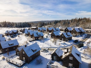 Comfort House, 3 Bedrooms | Living room | Fireplace - Semi-detached Houses, Turf House (Clausthal-Zellerfeld)