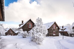 Deluxe House, 3 Bedrooms | Exterior