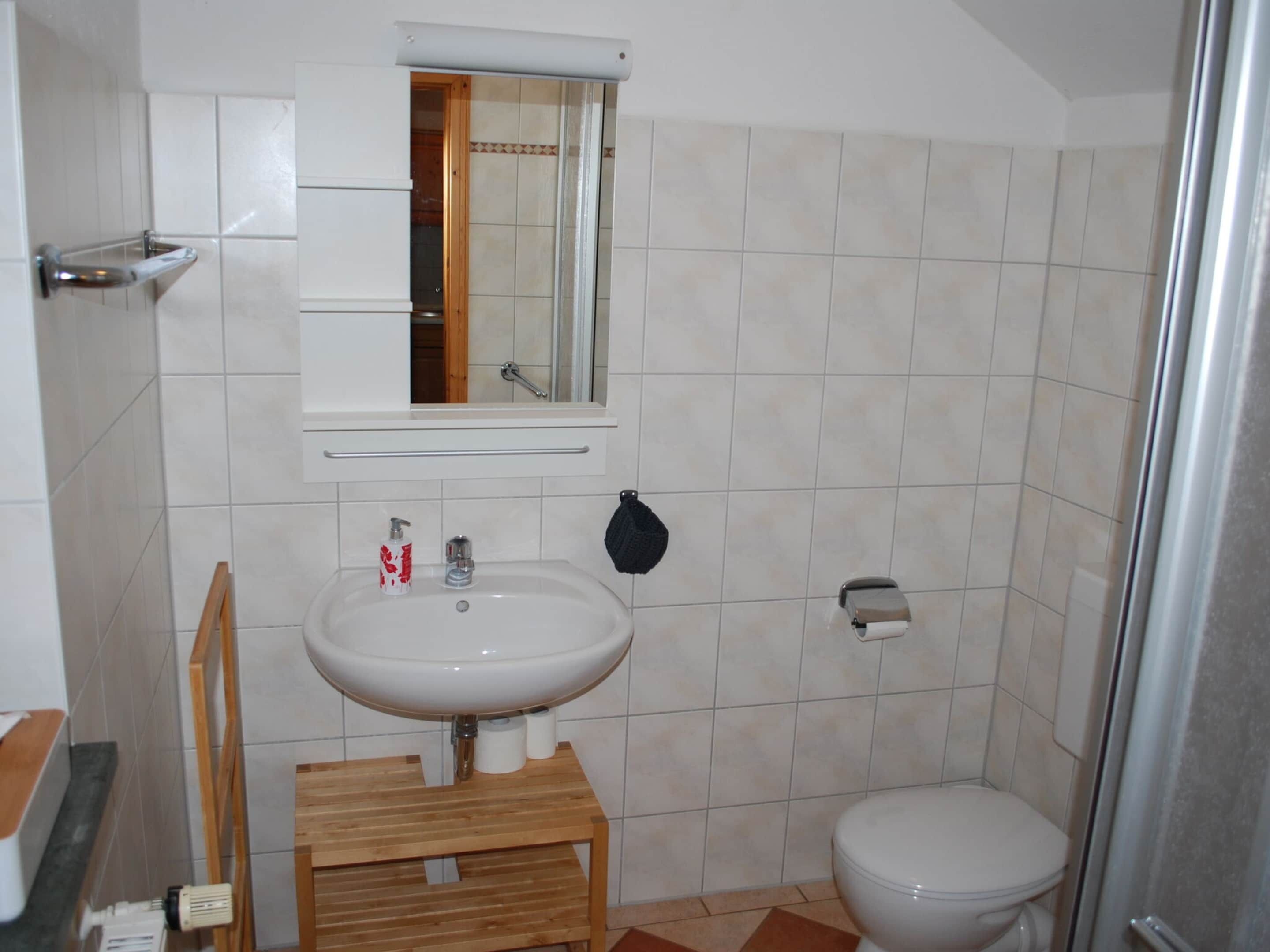 A bathroom with a white sink, a mirror, a toilet, and a shower area.