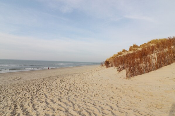 Deluxe-Chalet, 2 Schlafzimmer | Blick von der Unterkunft