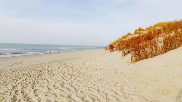 Une plage de sable avec une dune sur la droite et l’océan en arrière-plan.