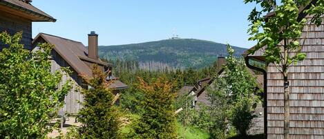 Vista desde la propiedad