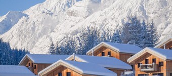 斯泰納赫布倫納滑雪區附近華麗小木屋