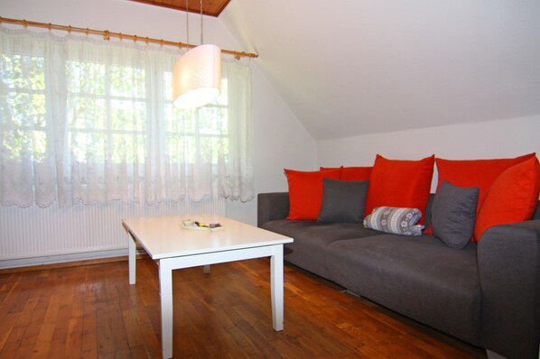 Fireplace, DVD player