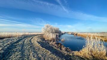 Comfort Chalet, 2 Bedrooms | Exterior