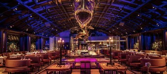 Modern Apartment With a View of the Scheveningen Harbor