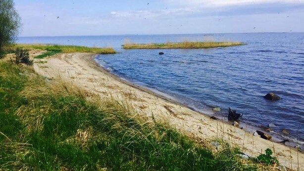 Ein Sandstrand mit grünen Bereichen und ruhigem Meer.