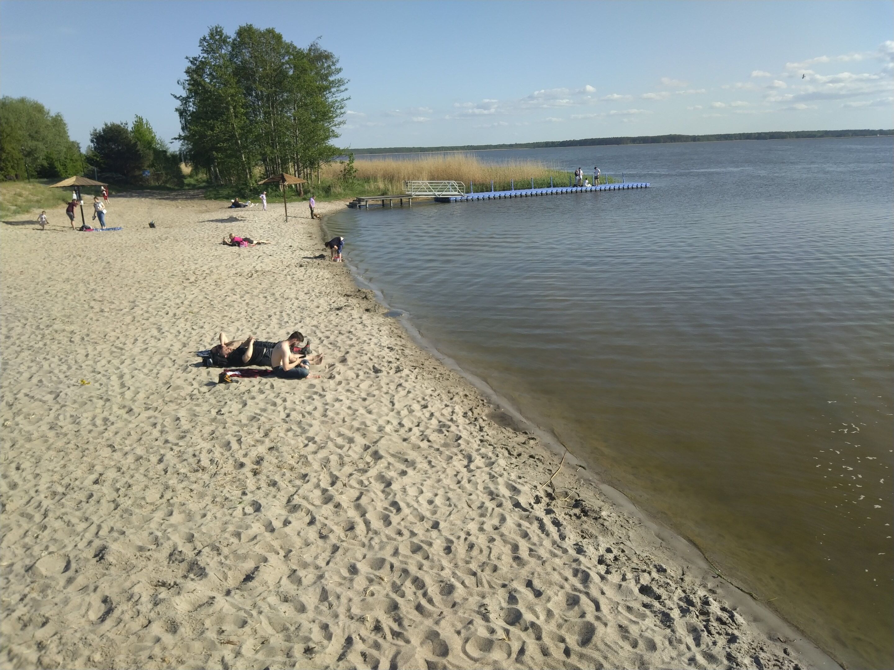 Uma praia arenosa com um píer que se estende na água, rodeada por árvores e um céu claro.