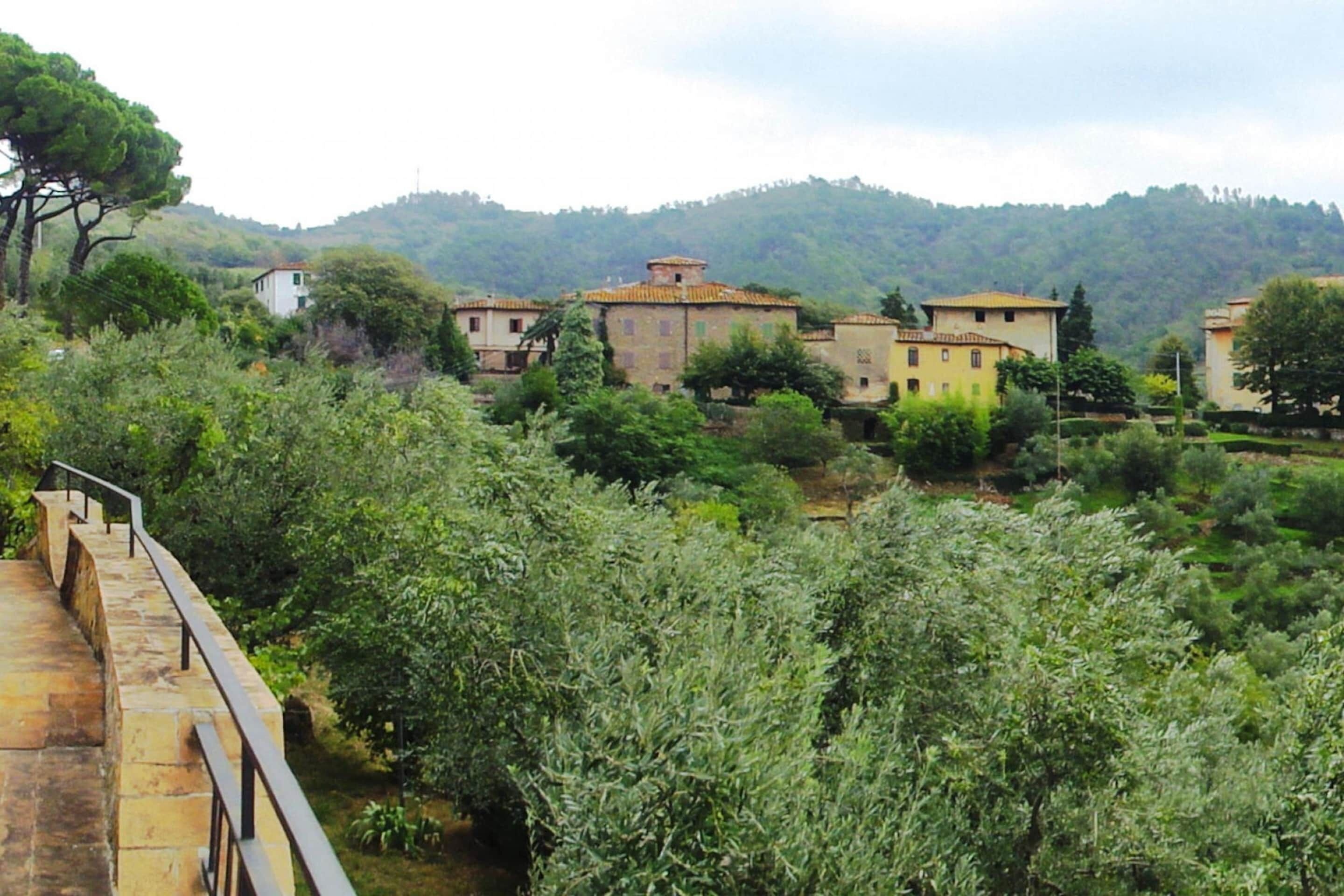A rural village with stone buildings surrounded by lush greenery and hills in the background.