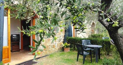 Appartements Villa Morosi, Lamporecchio