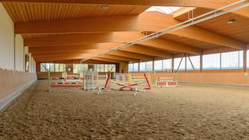 Vista desde la propiedad