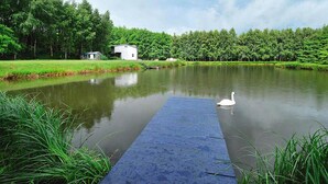 Un lac paisible où flotte un cygne, entouré d’une végétation luxuriante et bordé d’un petit bâtiment blanc.