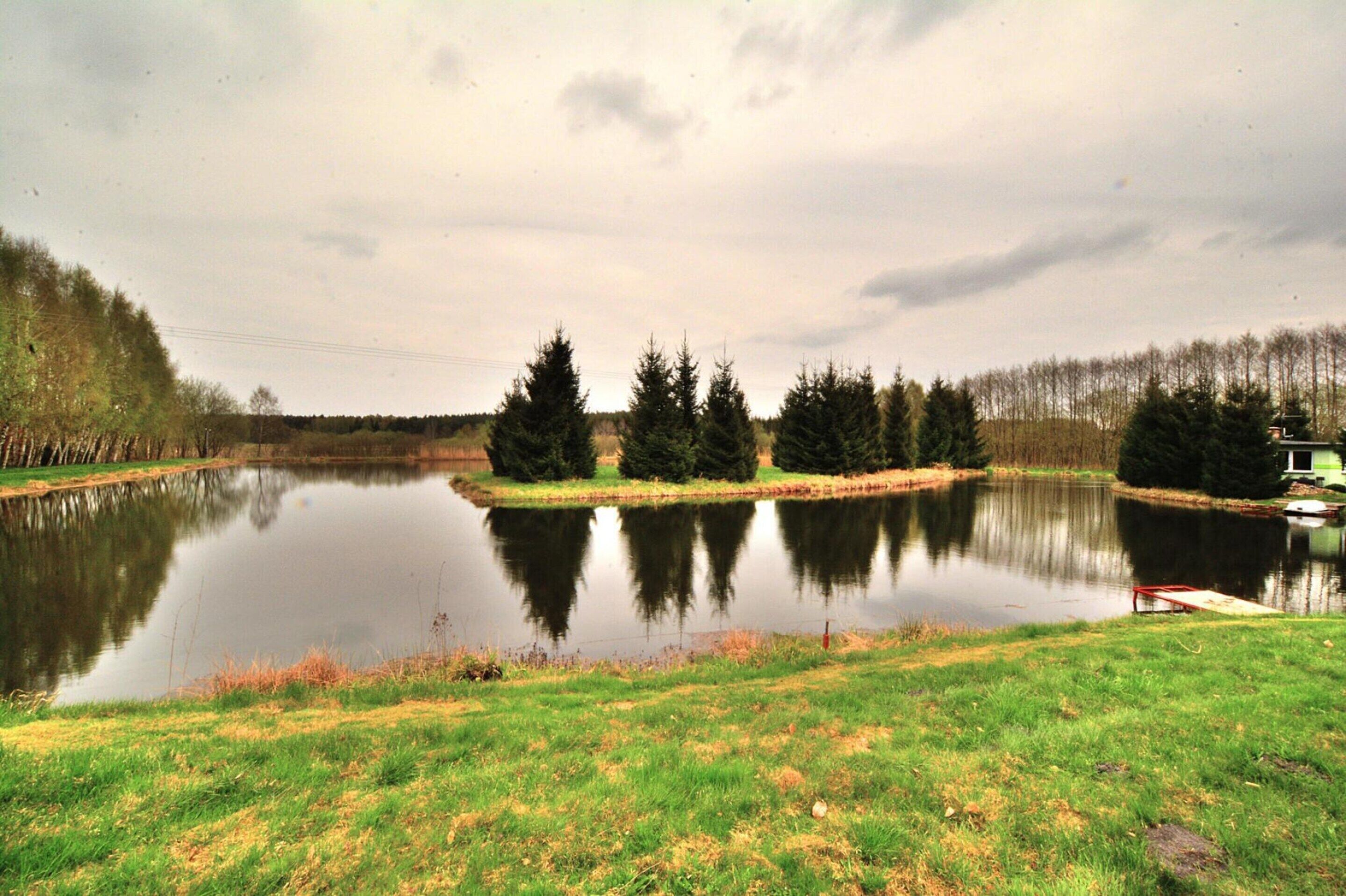 A calm lake with trees and a grassy area in the foreground.