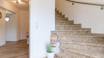 Una escalera con barandilla, una planta en maceta y señales de orientación.