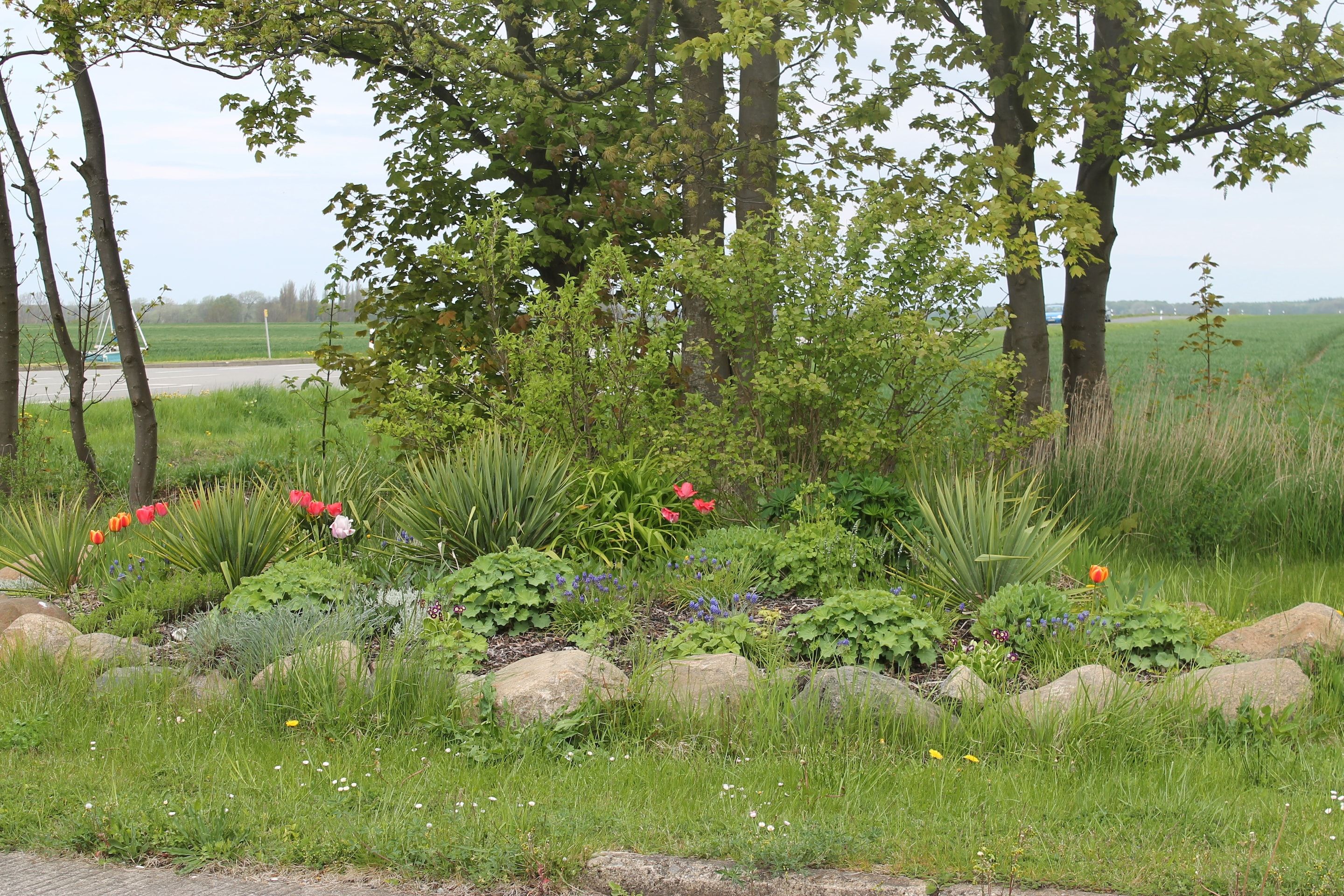 Tuin