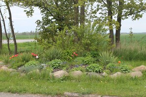 Garden - Charmante Ferienwohnung mit Garten in Wiek (Wiek)