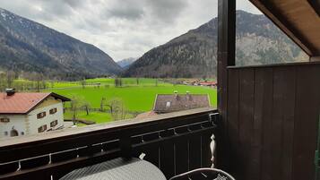 Classic-Apartment, 1 Schlafzimmer | Balkon