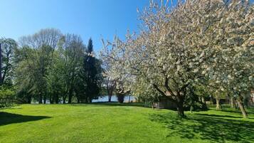 Vista desde la propiedad