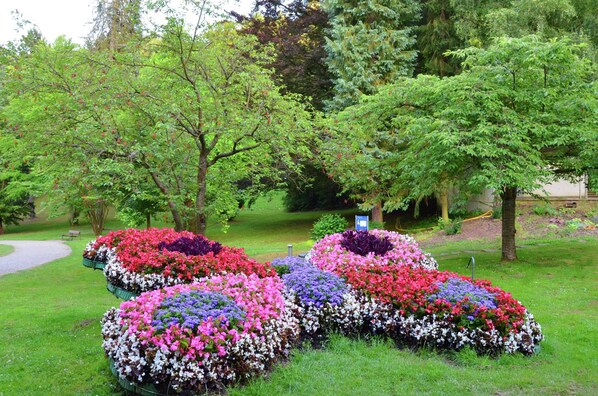 Quang cảnh nhìn từ nơi lưu trú