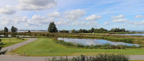 A well-maintained park with a pond, walking paths, and a variety of trees and shrubs.