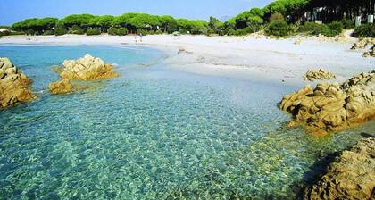 Apartment in Sos Alinos