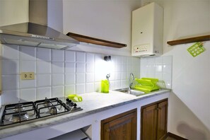 Deluxe Apartment, 3 Bedrooms | Private kitchen | Fridge, dishwasher, highchair