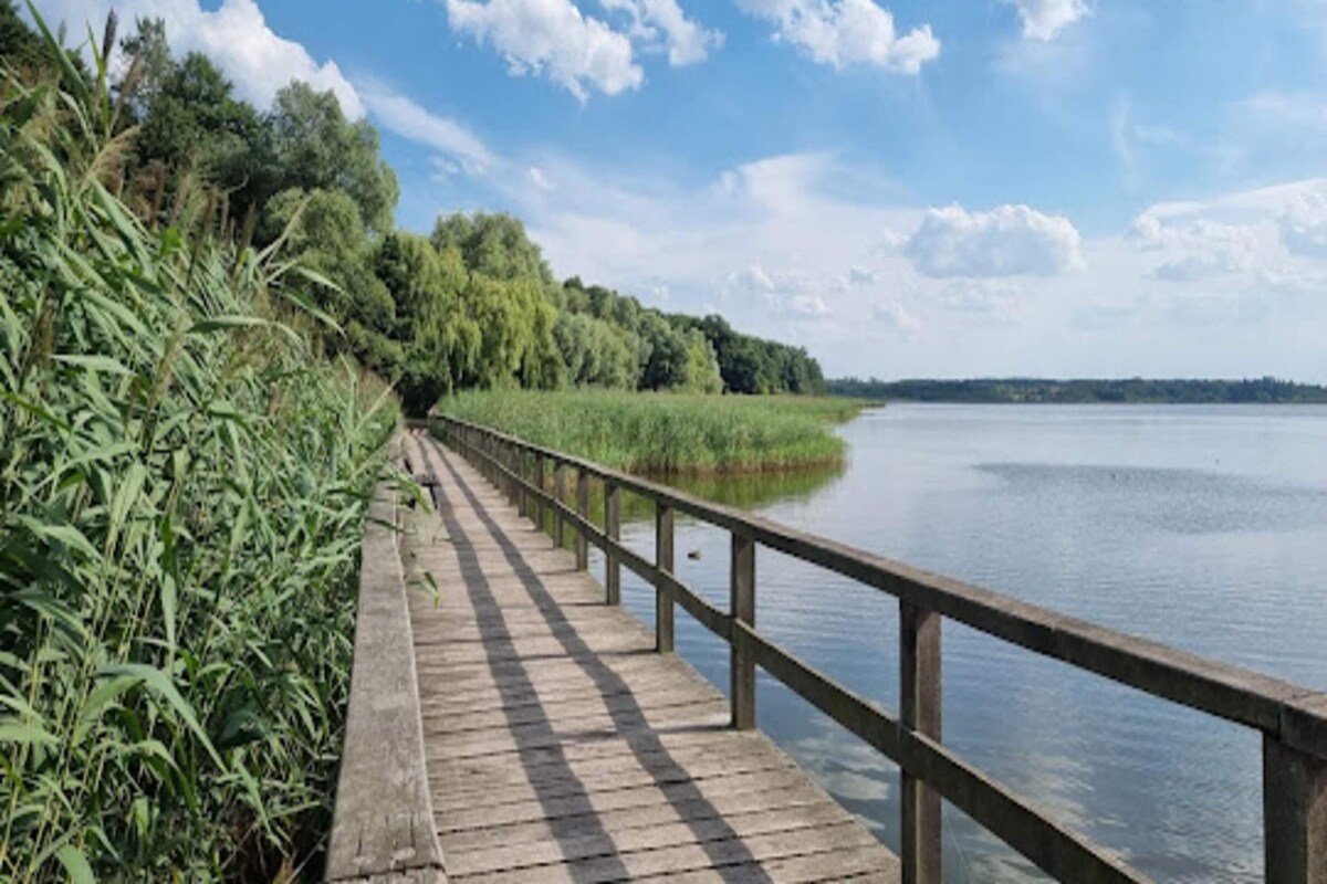 Une promenade en bois longeant un lac paisible, entourée d’une végétation luxuriante et d’arbres.