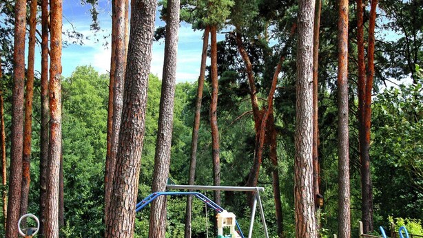 A playground with a swing set, slide, and climbing structure surrounded by tall trees. - Feriendorf am Weinberg, Dobbrikow (Nuthe-Urstromtal)