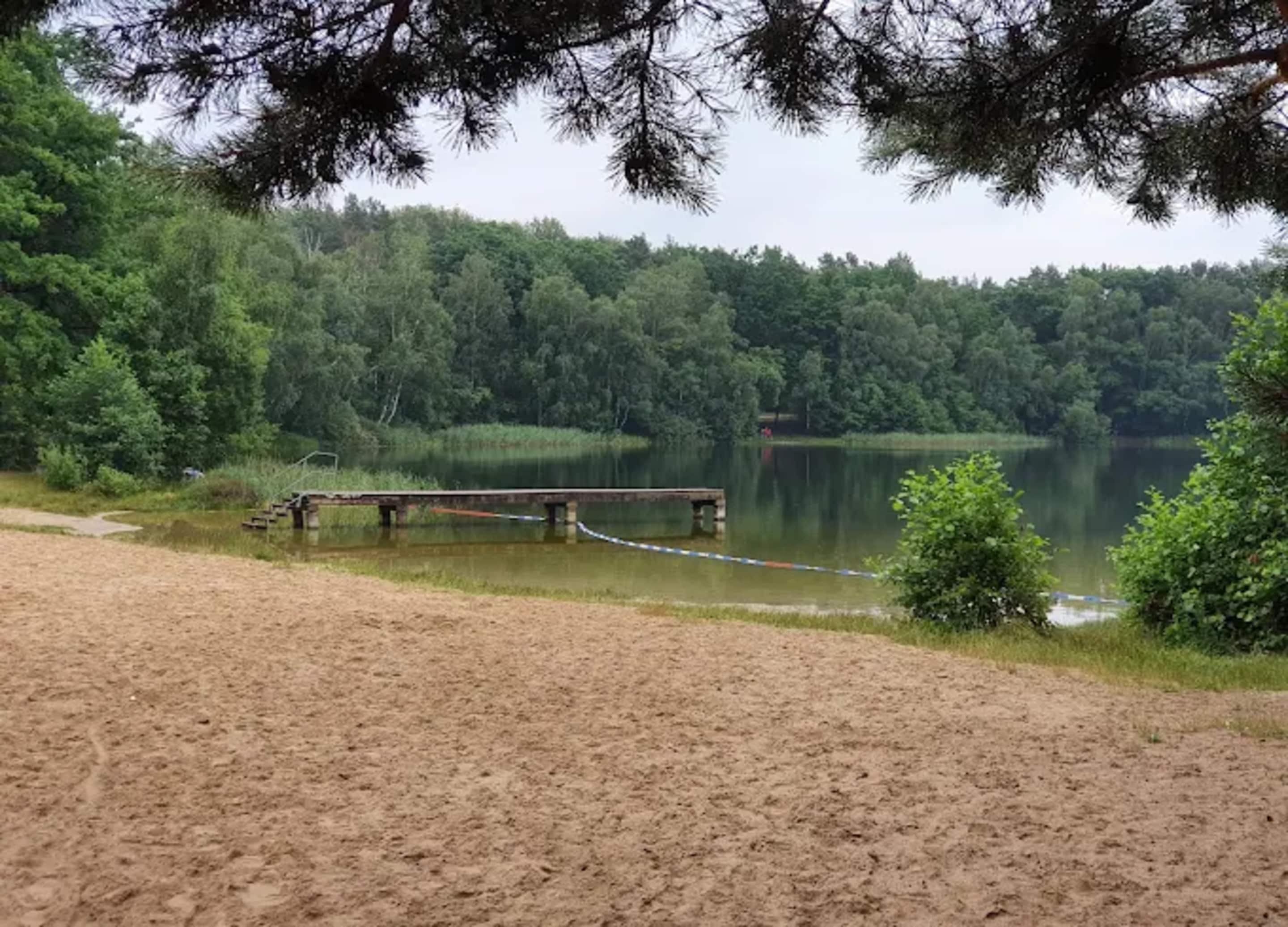 A sandy beach with a wooden dock extending into a calm lake, surrounded by dense forest.