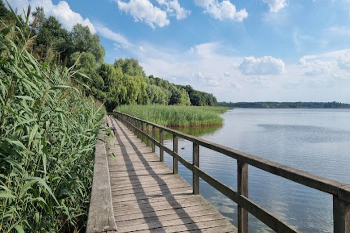 Un paseo marítimo de madera a orillas de un lago, con barandilla metálica, rodeado de abundante vegetación y árboles.