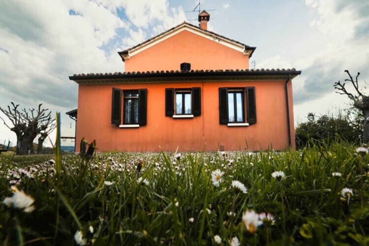 Ein Haus mit schlichter, oranger Fassade, schwarzen Fensterläden und einem Flachdach.