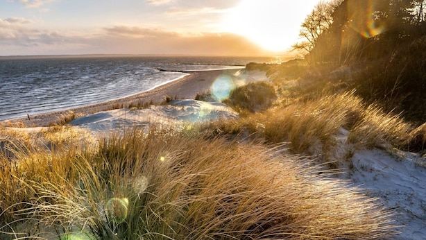 Una spiaggia con dune sabbiose e vegetazione in primo piano, una distesa d'acqua sullo sfondo e un tramonto all'orizzonte.