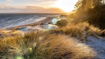 Comfort Apartment, 2 Bedrooms | View from property