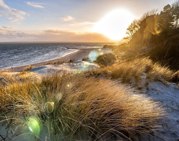 Comfort Apartment, 2 Bedrooms | View from property