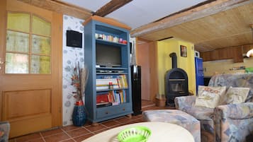 Fireplace, DVD player