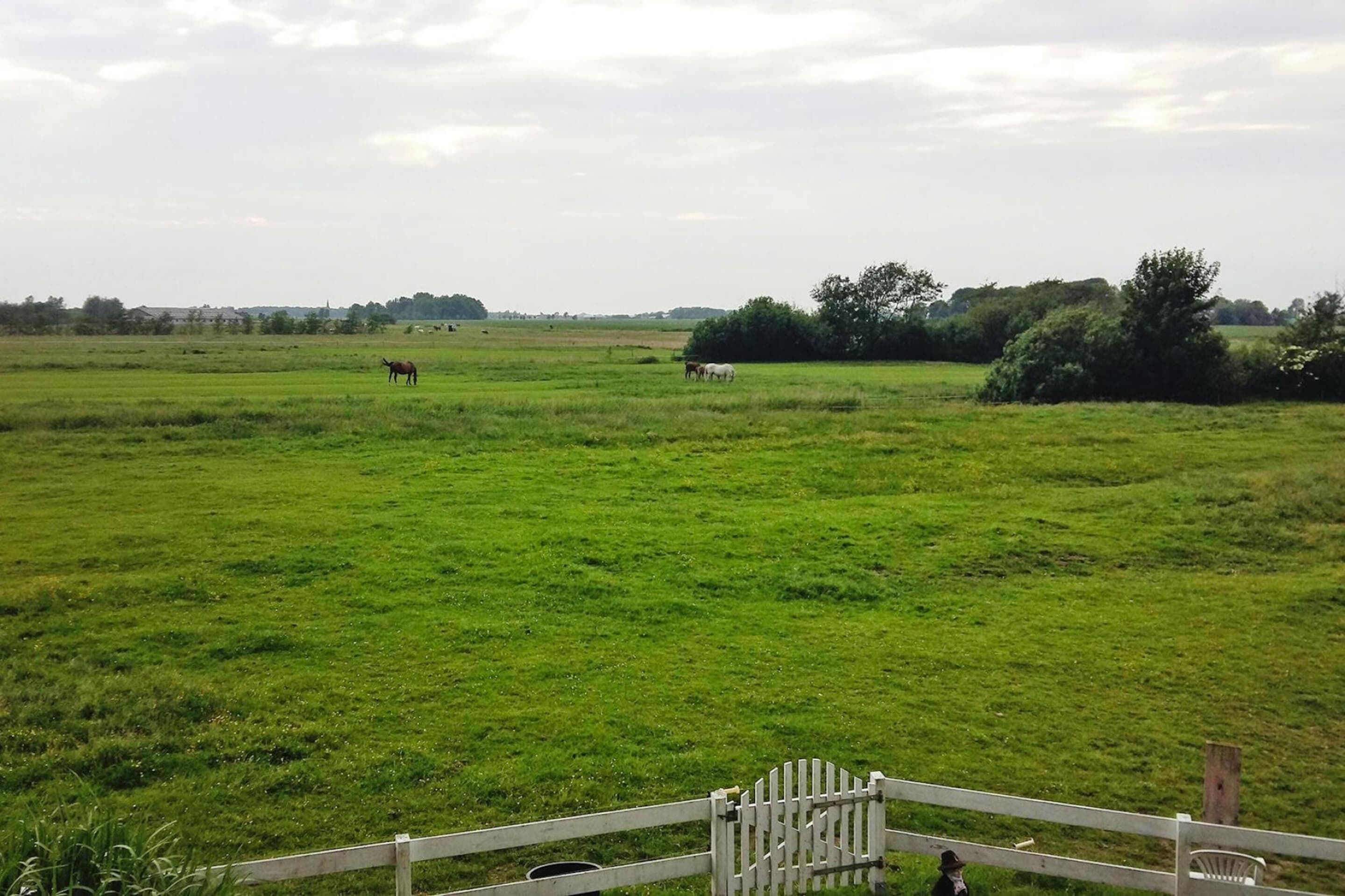 A grassy field with a white fence and a gate.