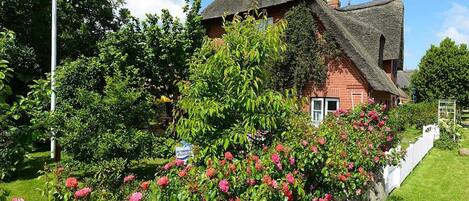 Classic Apartment, 2 Bedrooms | View from property