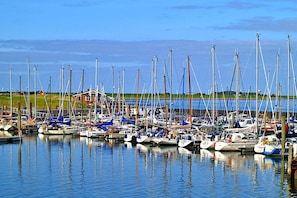 Deluxe Apartment, 1 Bedroom | Water view